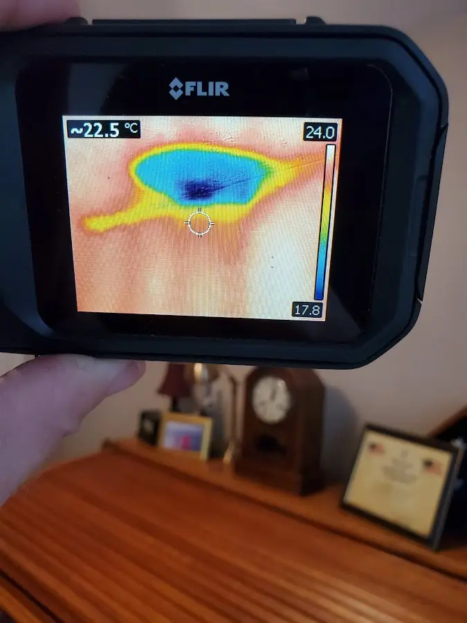 Thermal imaging inspection for water damage in Albertville